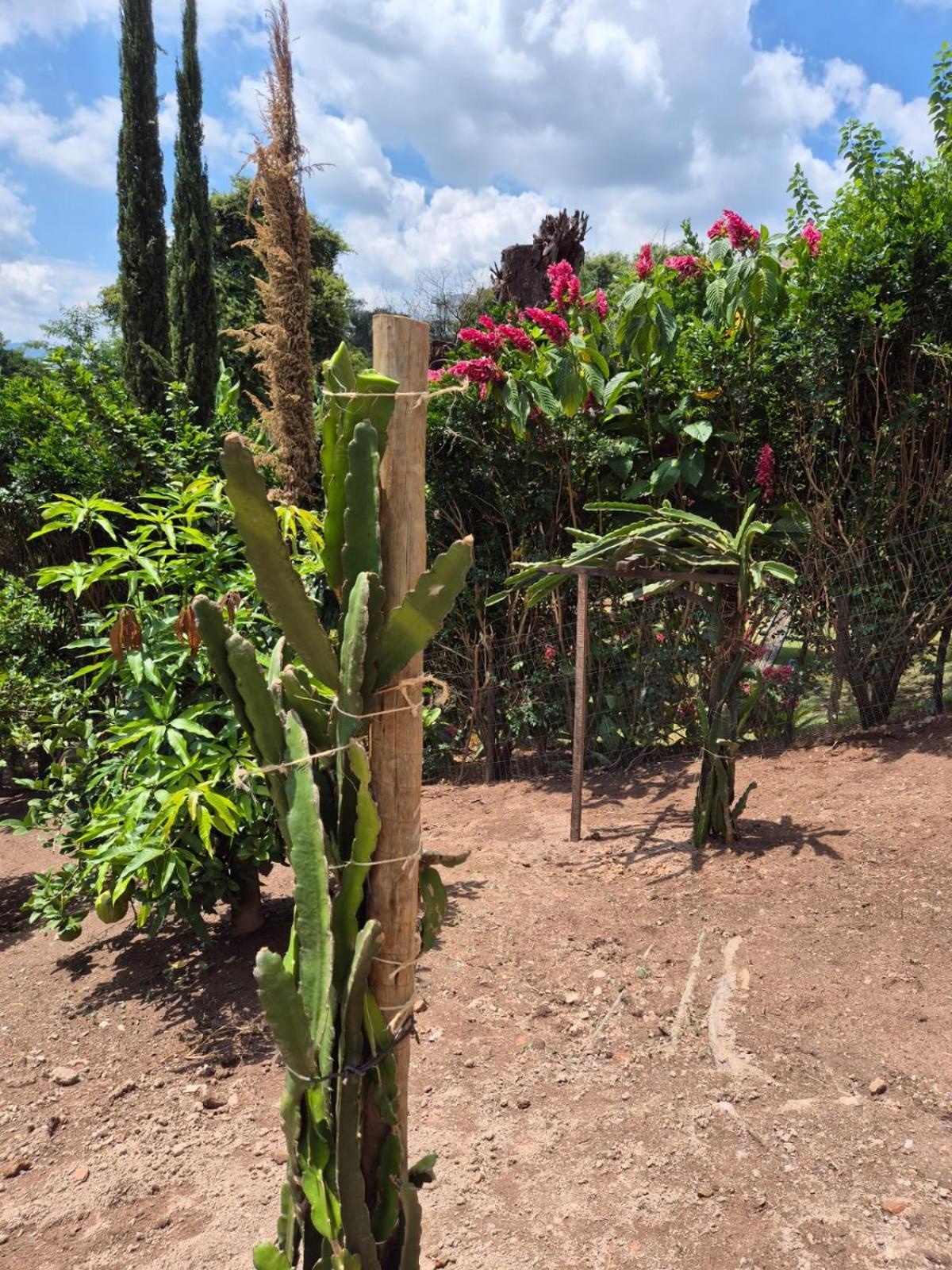 Pousada Verde Villas Brumadinho Exteriér fotografie